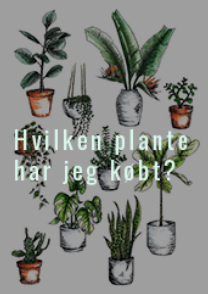 plante